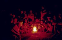 01.Forest_Borneo_Philippine.jpg