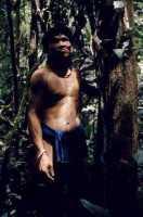 04.Forest_Borneo_Philippine.jpg