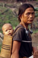 06.Forest_Borneo_Philippine.jpg