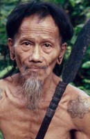 07.Forest_Borneo_Philippine.jpg