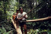 08.Forest_Borneo_Philippine.jpg