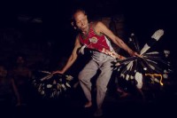 12.Forest_Borneo_Philippine.jpg
