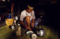 16.Forest_Borneo_Philippine.jpg