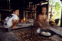 18.Forest_Borneo_Philippine.jpg