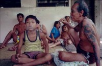 20.Forest_Borneo_Philippine.jpg