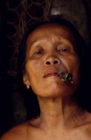 21.Forest_Borneo_Philippine.jpg