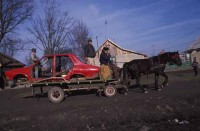 Highlight for Album: Roma Gypsies Recycling