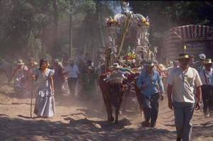 Highlight for Album: Spanish Springtime Festivals