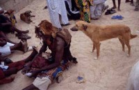 21.Hausa_Animist_Ritual.jpg