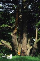 buddhists_france025.jpg