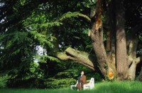 buddhists_france026.jpg