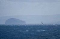 010.fife_st_monans.jpg