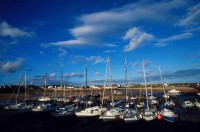 015.fife_ellie_town.jpg