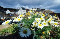 017.fife_crail_harbour.jpg