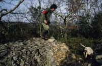 010.wild_boar_hunting.jpg