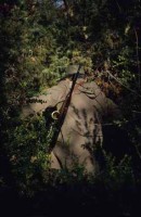 016.wild_boar_hunting.jpg