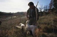 017.wild_boar_hunting.jpg
