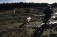018.wild_boar_hunting.jpg