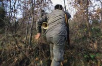 022.wild_boar_hunting.jpg