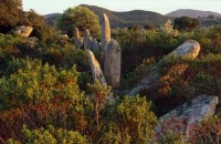 02.Corsica Fire Ice water