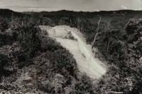 14.Deforestation S.E.Asia