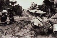 25.Deforestation S.E.Asia