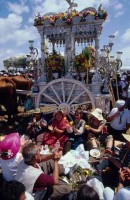 09.El_Rocio_Andalusia_Spain.jpg