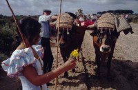 12.El_Rocio_Andalusia_Spain.jpg
