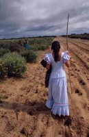 13.El_Rocio_Andalusia_Spain.jpg