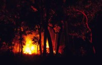 004.forest_fire_australia.jpg