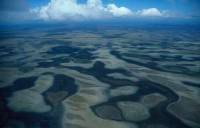 013.savana_amazon.jpg
