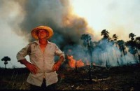 014.slash_burn_amazon.jpg