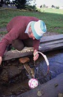 009.fish_circus.jpg
