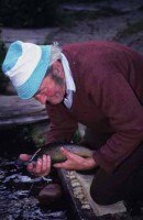 011.fish_circus.jpg