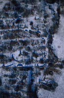 06.Forest aerial