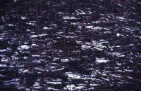 09.Forest aerial