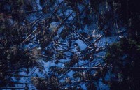 11.Forest aerial