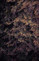17.Forest aerial