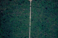 21.Forest aerial