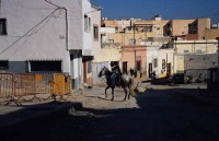 02.almeria gitano boys on horse