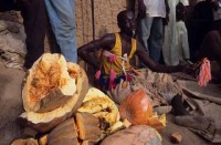20.Hausa Animist Ritual