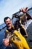 004.lobster_connemara.jpg