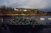 016.fishing_nets_cork.jpg