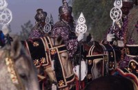 06.Kano Durbar Fantasia