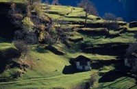 05.Nino Emma Coretti Soglio