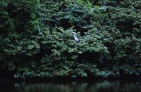 011.paris_montsouris.jpg