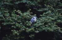 016.paris_montsouris.jpg