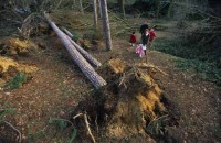 028.paris_bois_boulogne.jpg