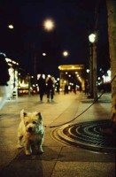 005.paris_arc_triomphe.jpg