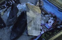 roma_gallery34.jpg